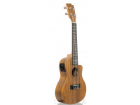 Tanglewood TWT 12E Tanglewood TWT 12E